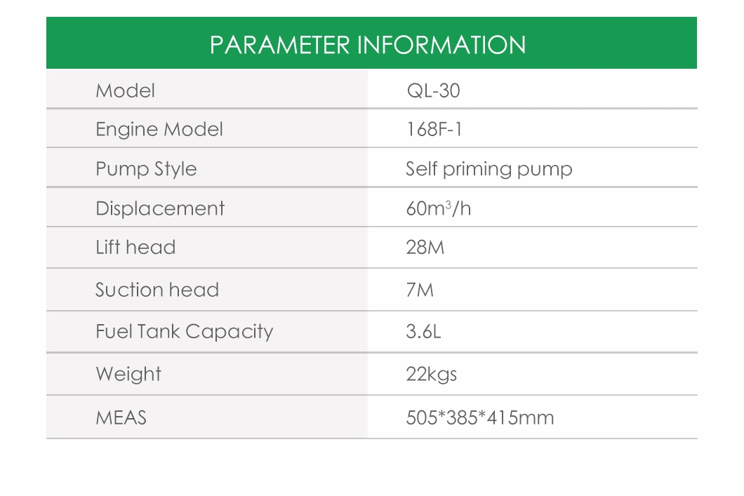 Water Pump/Gasoline Water Pump/Petrol Water Pump /Gasoline Engine Ql-30