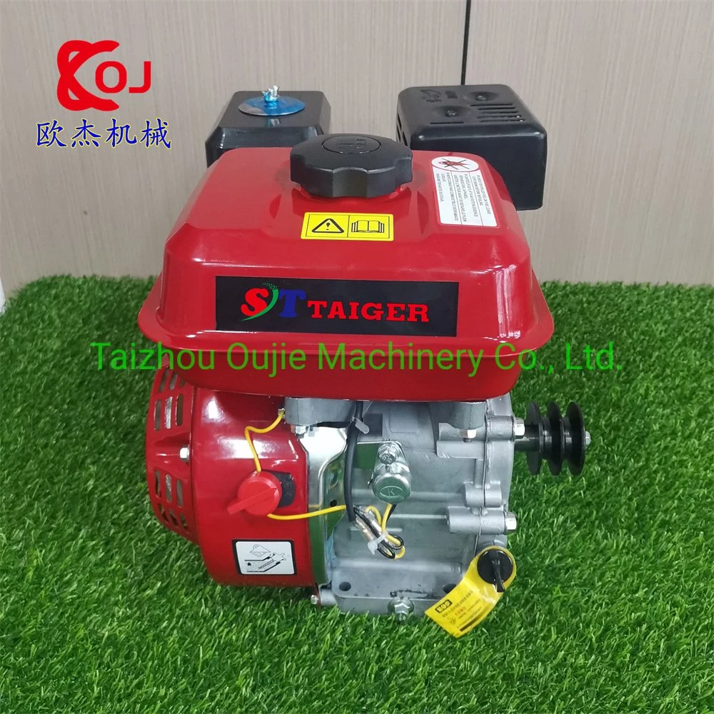 6.5HP Gx200 Gasoline Engine with Pulley Hot Selling