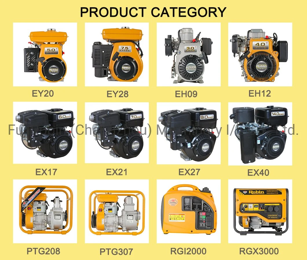 for Water Pump Air-Cooled Robin Ey20 5HP Gasoline Engine Petrol Engine